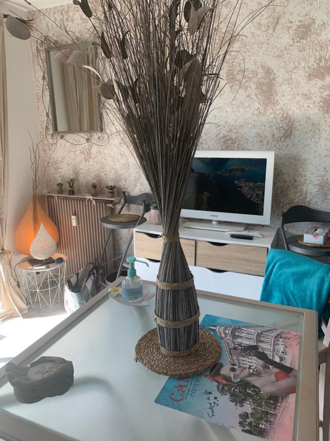 Luxurious Studio In Cannes 450M From Sea With Terrace And Air Conditioning And Private Parking Eksteriør bilde